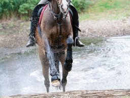 IMG_8330_web